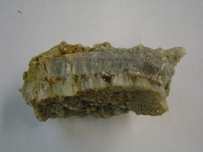 Gypsum1.jpg