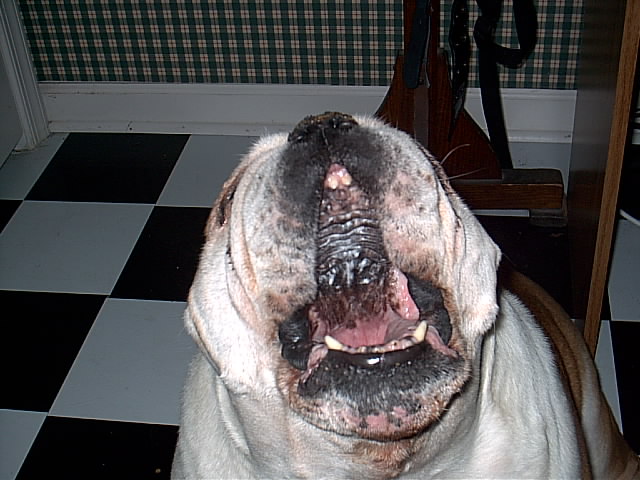 Picture 006.jpg