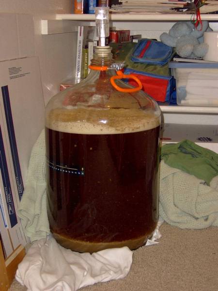 Kangaroo's Tail Ale 12 (three hours in Ferm).jpg