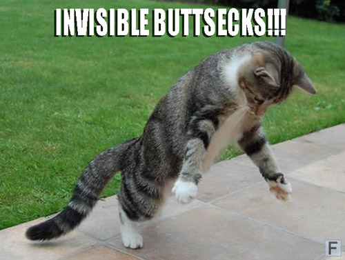 invisible_buttsecks.jpg