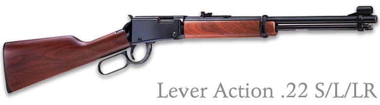 h001_leveraction_lg.jpg