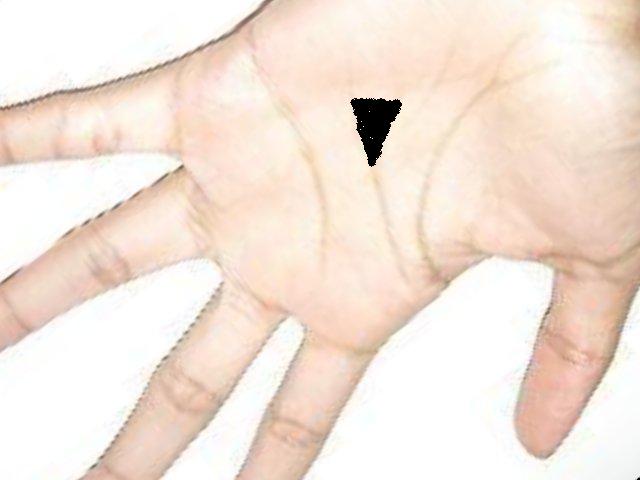 800px-Human_Hand-2.jpg