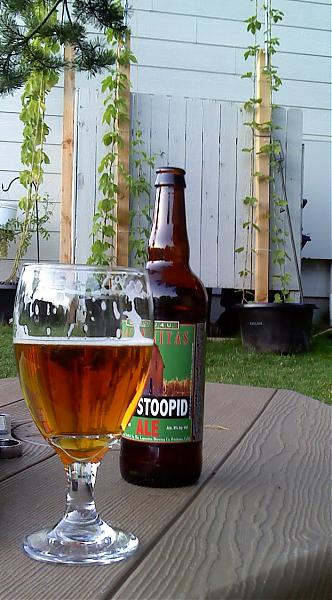 Hop Stoopid.jpg