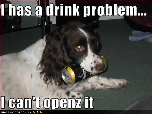 funny-dog-pictures-drink-problem.jpg