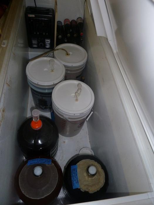 full-fermenter-57236.jpg