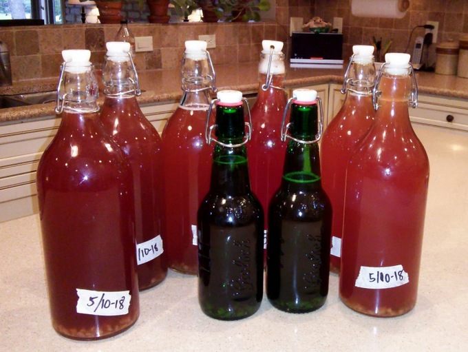 booch_0522.jpg