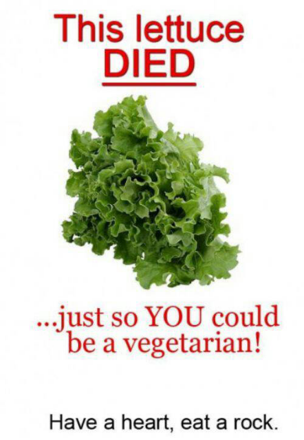 lettuce died.png