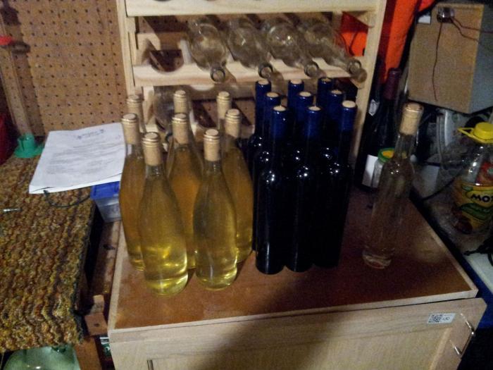 3gallon sweet mead.jpg