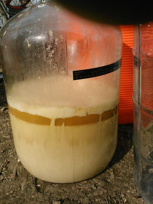 yeast.slurry.jpg