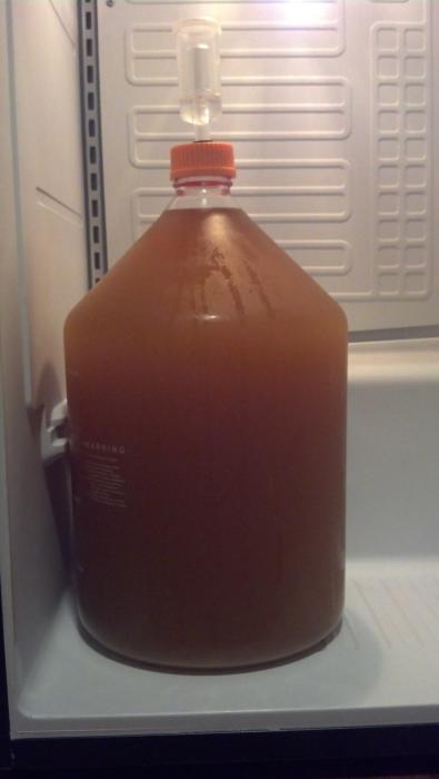 fermenter.jpg