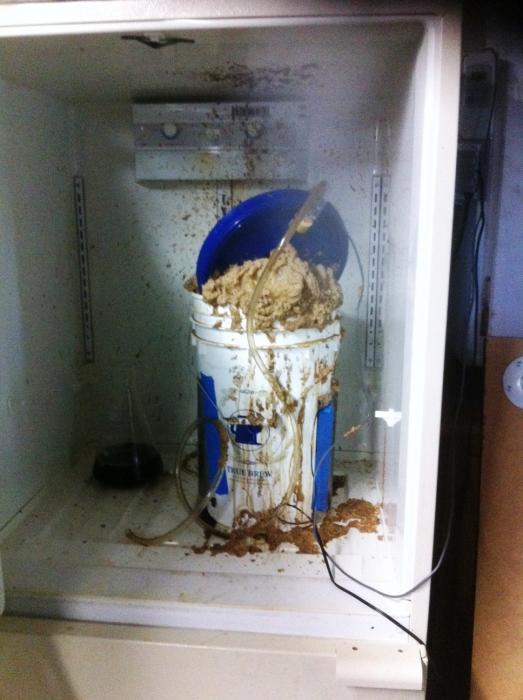 explosivefermentation.jpg