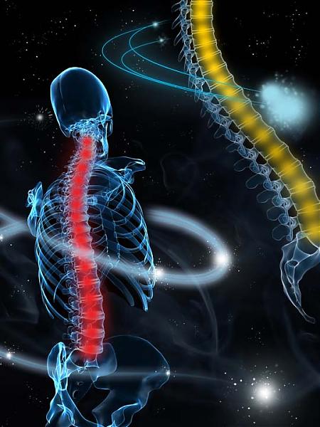 The Spine Project.jpg
