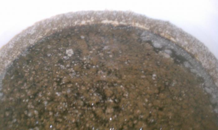 IMAG0092.jpg