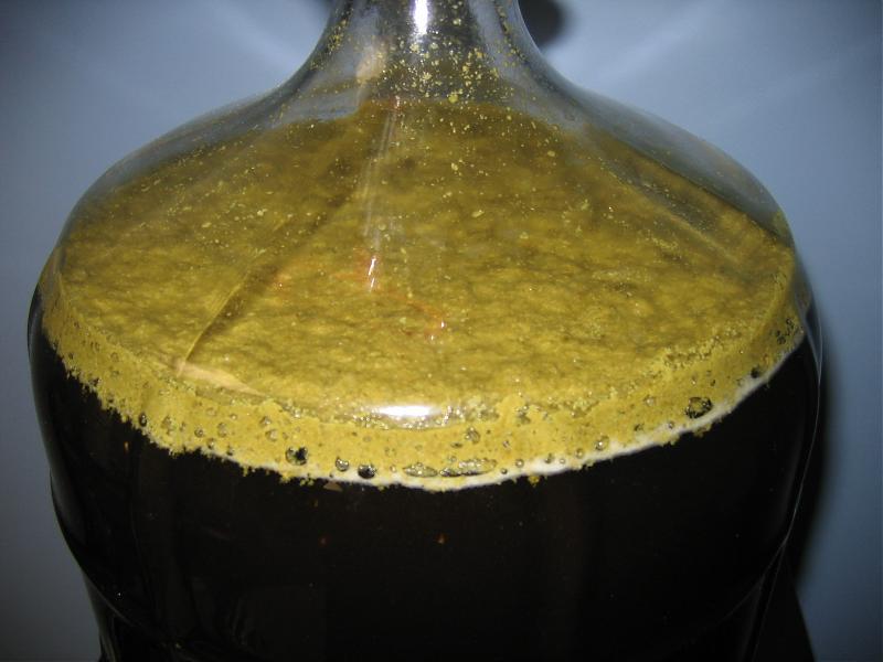 dryhop.jpg