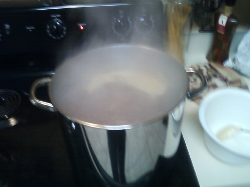 Amber Lager Boiling.jpg