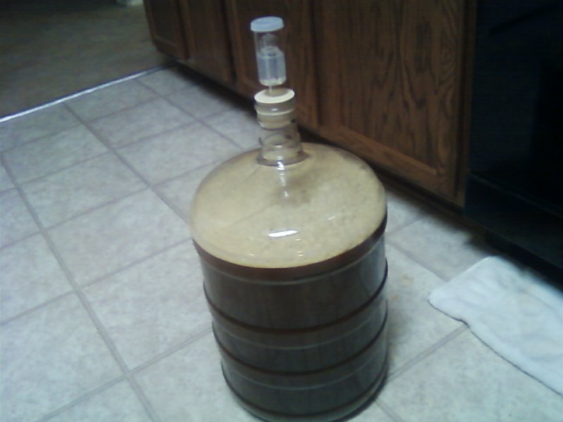 Amber Lager Primary.jpg