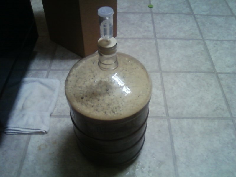 Amber Lager In Primary.jpg