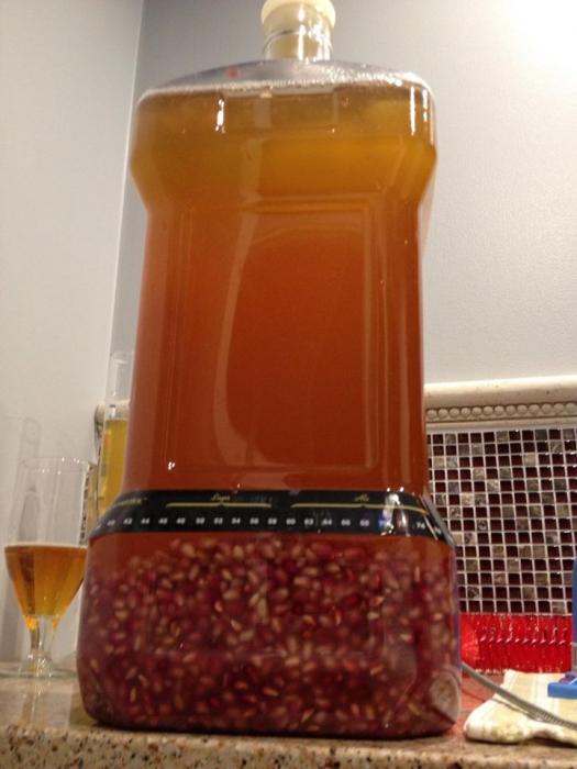 pomegranate saison.jpg