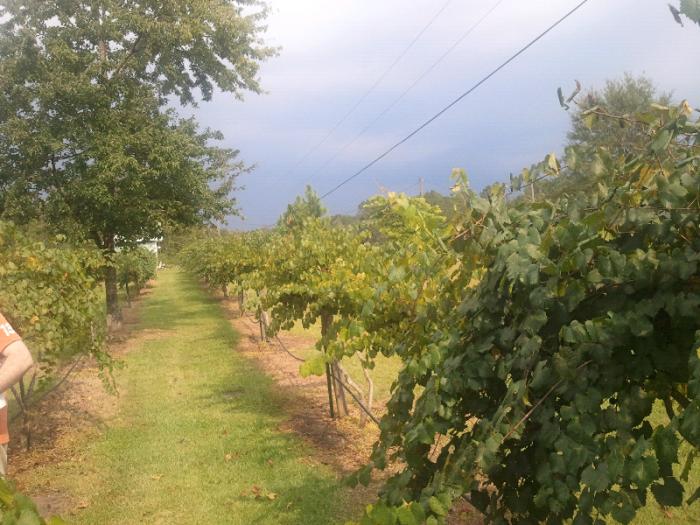 ForumRunner_20130901_133212.jpg