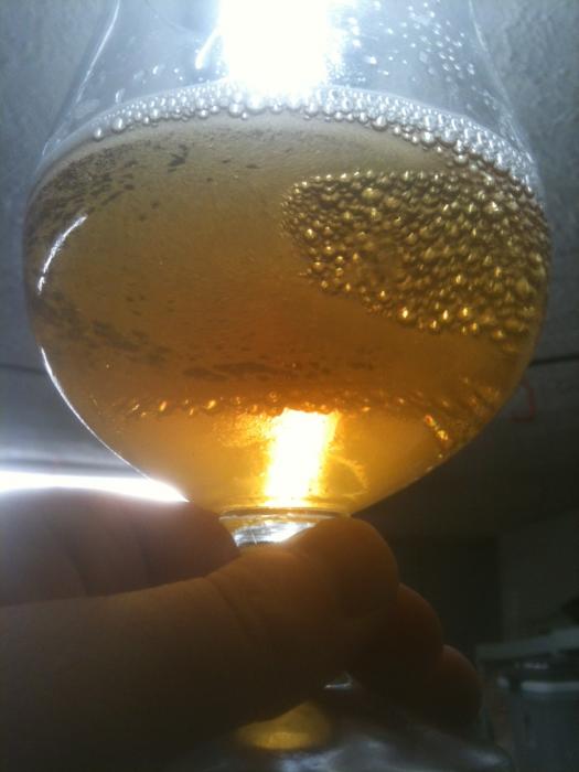 beer pic.jpg