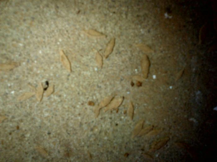 IMG-20130924-00248.jpg