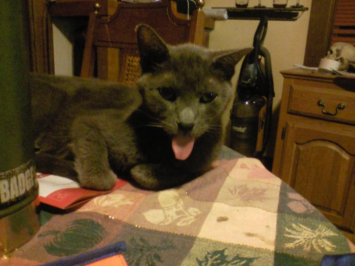 0928132009.jpg