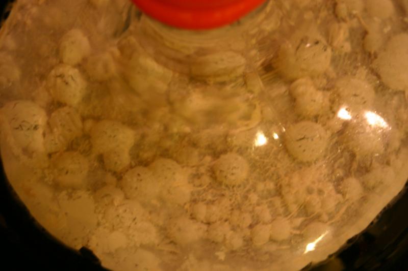 Picture 914.jpg