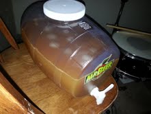 Cider 1 week (3).jpg