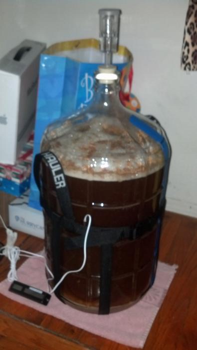 2013-11-13 16.37.16.jpg