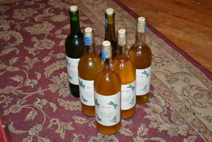 relabeled cider bottles.jpg