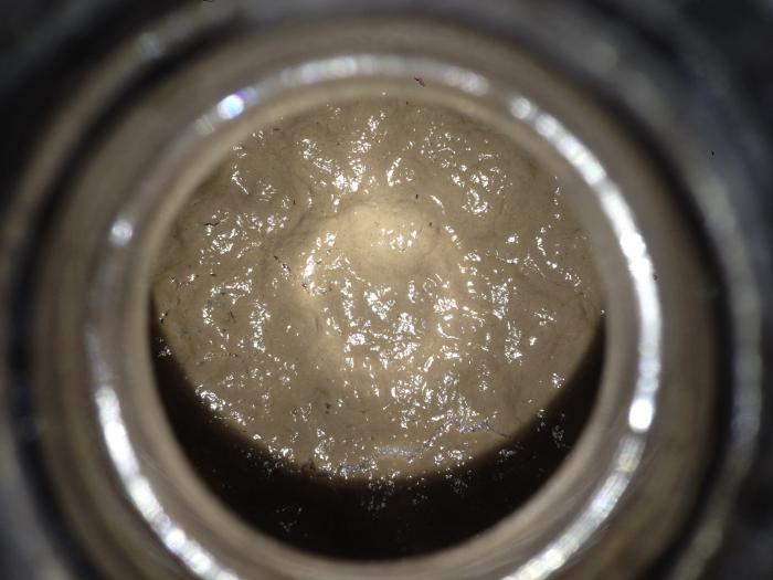 pellicle.jpg