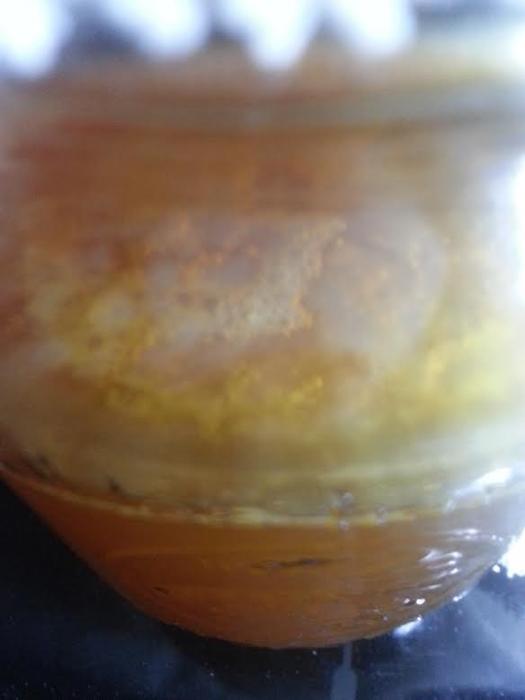 SCOBYmold.jpg