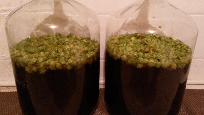 Dry Hopping.jpg