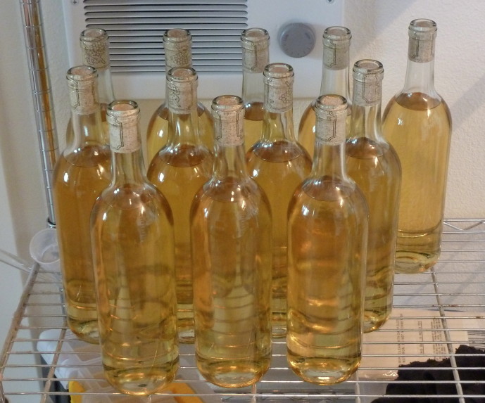 Bottles.jpg