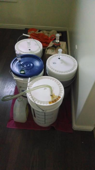 Fermenters 12-11-13.jpg