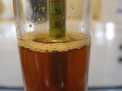 hydrometer dwsz.jpg