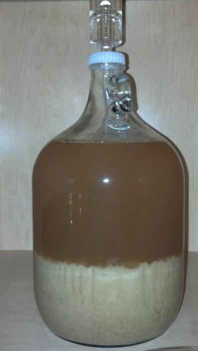 beer.jpg