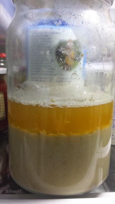 yeast1-16-14.jpg