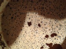 beer infection.jpg