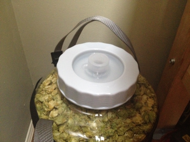 Bubbler2.jpg Bubbler2.jpg