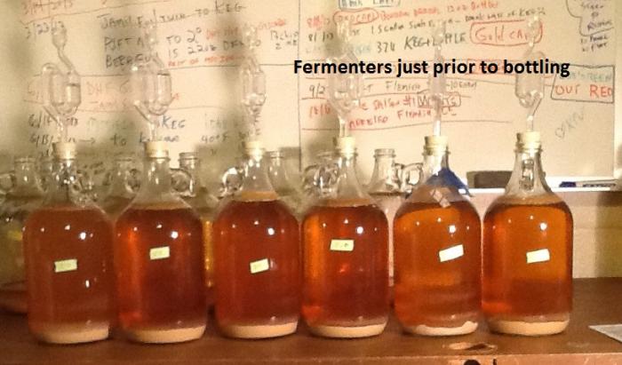 6 FERMENTERS BEFORE BOTTLING TEXT.jpg