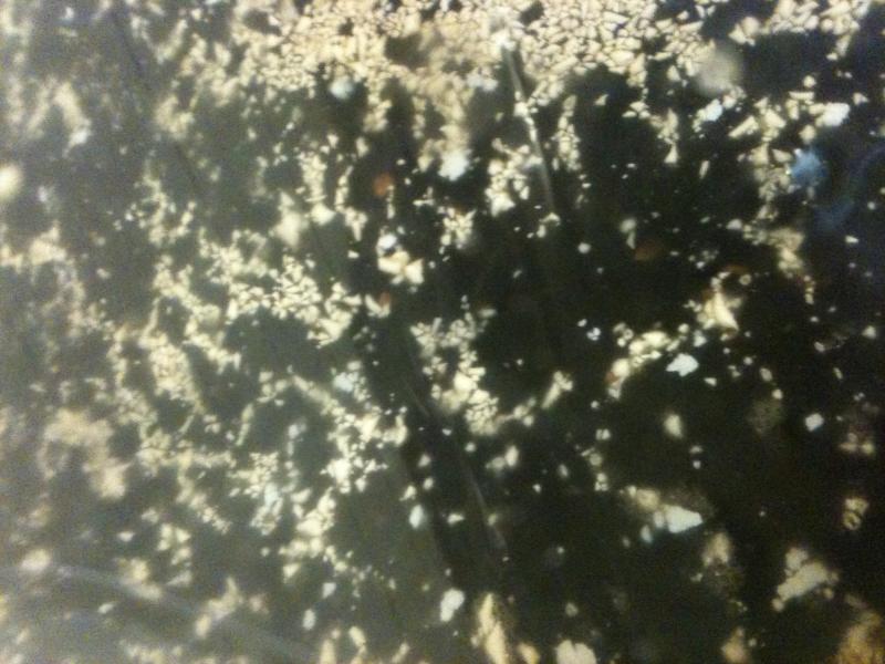 photo 2.jpg photo 2.jpg