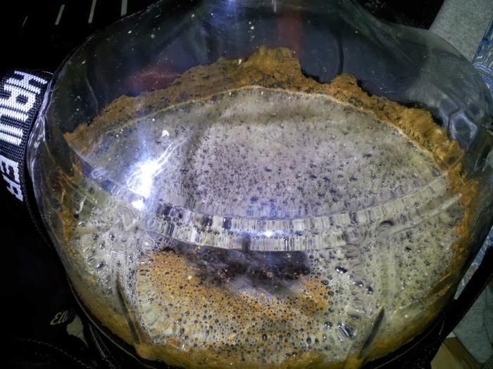 Beer is bubbling again after weeks of inactivity. Homebrew Talk