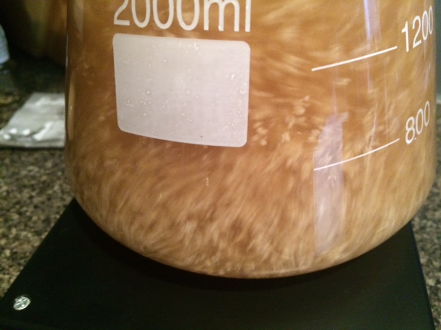 yeast starter.JPG