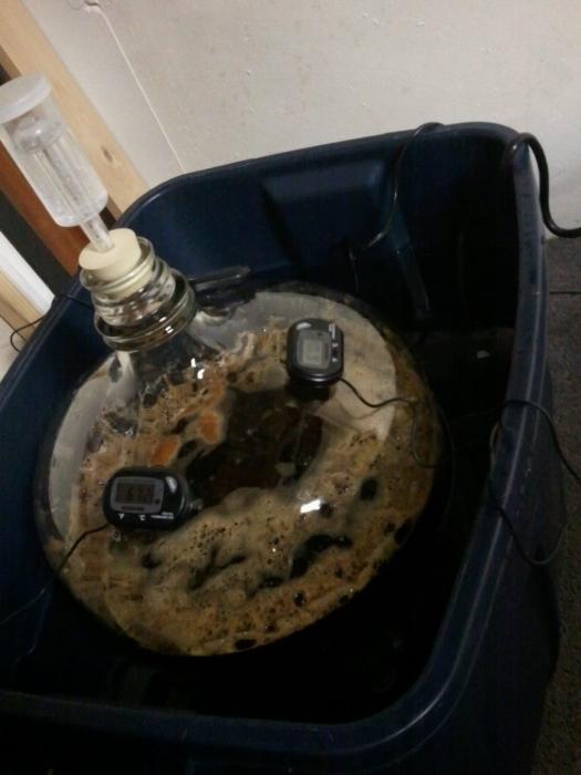 beer.jpg