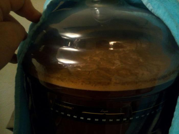 top of carboy.jpg