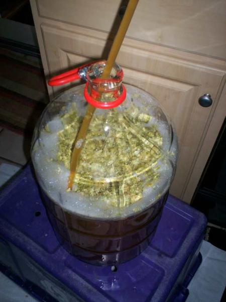 dfhdryhopping.jpg