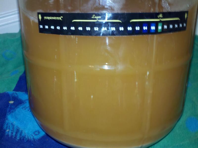 IMG_20110116_103132.jpg