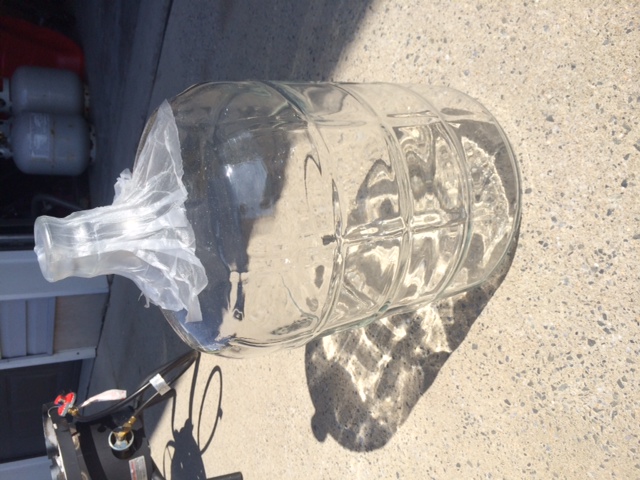 carboy.JPG