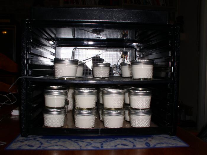 yogurt 1.jpg